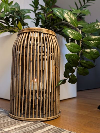 Lichtstimmung mit Lampe und Pflanze